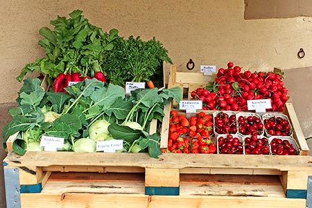 Saisonales Gemüse, Beeren und Kirschen